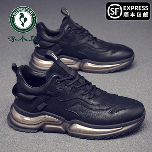 啄木鸟男鞋2025秋季新款休闲运动皮鞋男款真皮软底韩版百搭小黑鞋