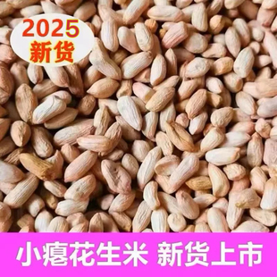 山东新小瘪花生米农家新鲜甜花生干瘪生花生威海小粒扁秕子零食