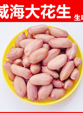 25年山东大花生米威海特大粒生新农家新鲜生花生仁榨油散装批发