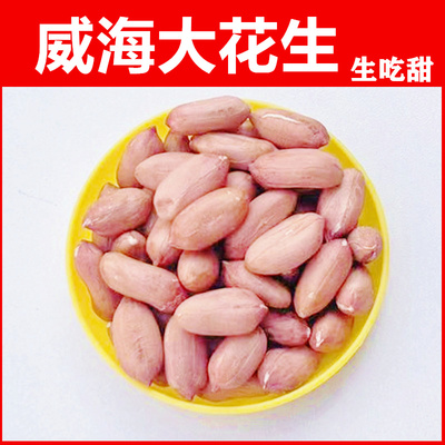 25年山东大花生米威海特大粒生新农家新鲜生花生仁榨油散装批发