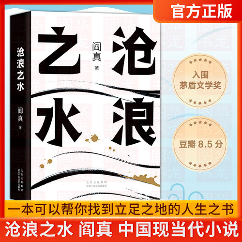 阎真教你职场立足正版沧浪之水
