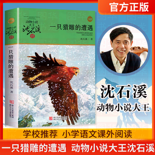 一只猎雕的遭遇 大王沈石溪品藏书系新版 6-12岁一到六年级少儿童文学小说 小学生课外年动物故事书 浙江少年儿童出版社