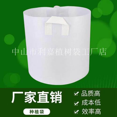 种植袋加厚无纺布育苗营养
