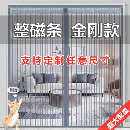 门连防鼠外门沙门帘自粘贴大门防纹门罩软沙门自建房木门防杨絮S