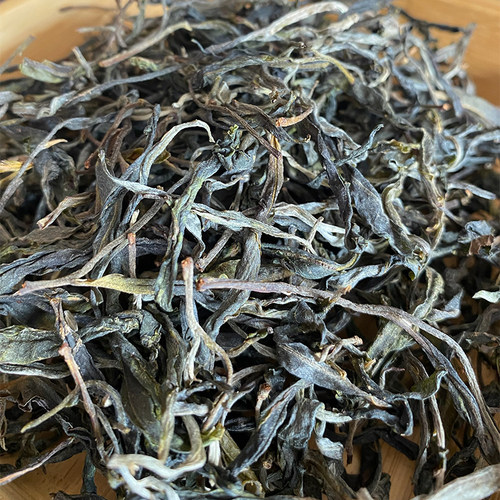 2024年天门山小高杆 易武纯料100g 清甜森林茶 散茶生茶普洱罐装