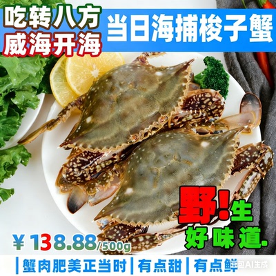 开海季威海野生梭子蟹海螃蟹母蟹