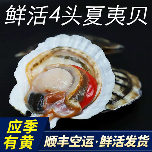 霖成道贝类多买多优惠