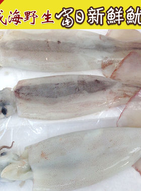 新鲜海鲜鱿鱼威海海鲜鲜