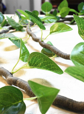 新款仿真树藤叶缠绕垂吊背景装饰 常青藤假花绿罗叶藤蔓绿植造景