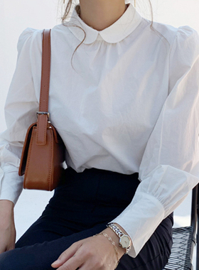 白衬衫女春秋纯棉娃娃领超火的cec打底白色衬衣女小清新长袖上衣