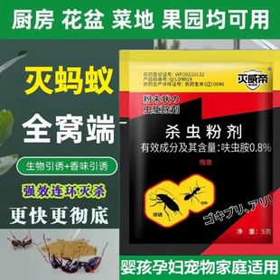 蚂蚁药强效全窝端家用非无毒厨房室内野外菜地灭蚁清一窝端灭蚁药