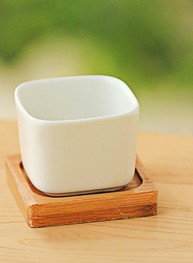 简约风绿植物陶瓷方形底托花瓶