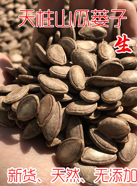 新货生瓜蒌子天柱山园庄瓜蒌籽大别山野葫芦籽栝楼子吊瓜籽杜瓜子