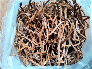 原产地泰国木龙根泡酒500克泡酒料中药材中草药药酒 中老年关爱品