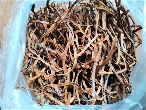 原产地泰国木龙根泡酒500克泡酒料中药材中草药药酒 中老年关爱品