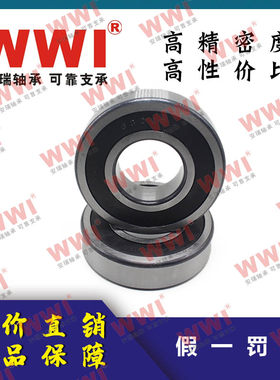 WWI安瑞电机深沟球轴承6305 6306 6307 6308 6309-ZZ 2RZ高速静音