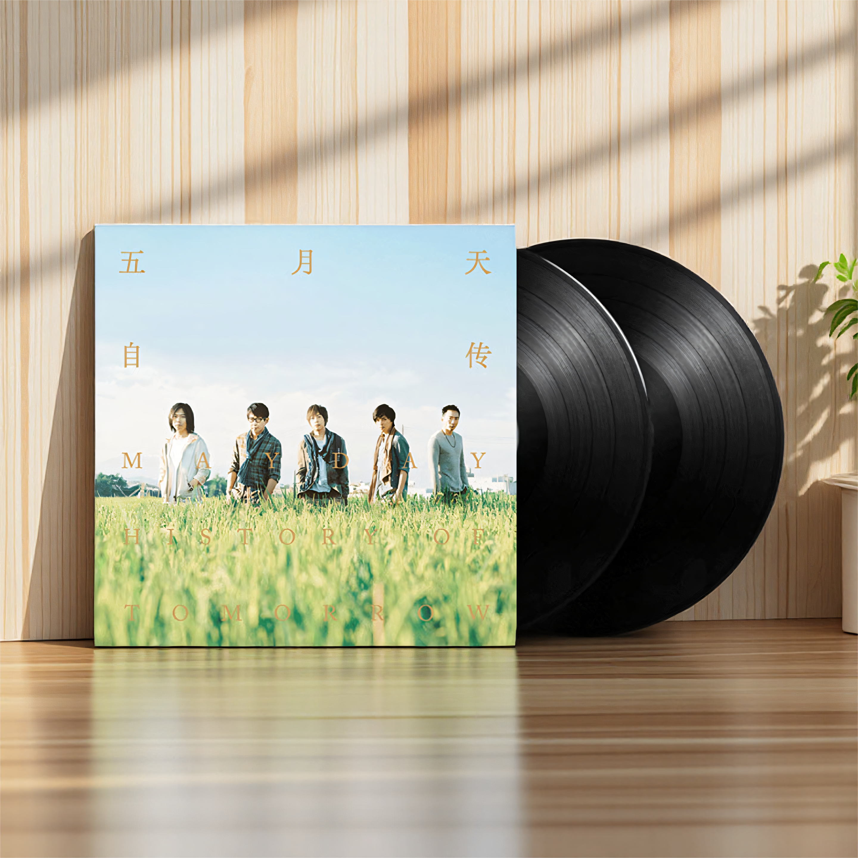 正版 五月天黑胶专辑 《自传》  2LP唱片