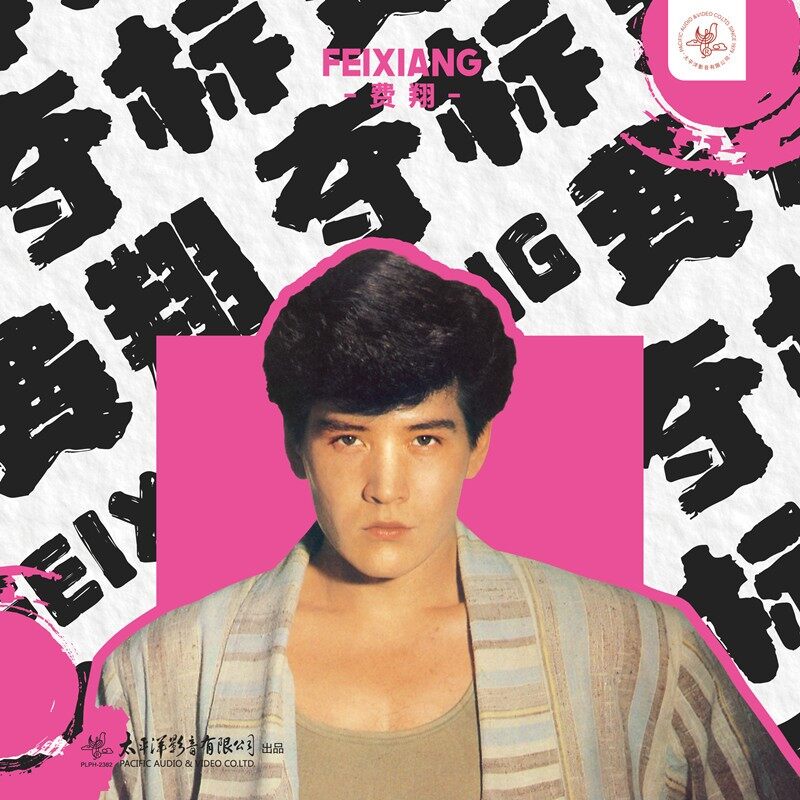 官方正版 费翔 夺标 我的心里只有你没有她 LP黑胶唱片