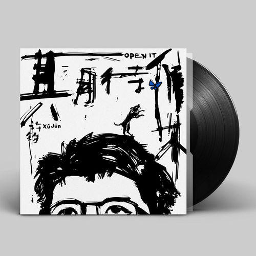 正版 许钧第四张个人专辑 期待集OPEN IT 切片人生 LP黑胶唱片