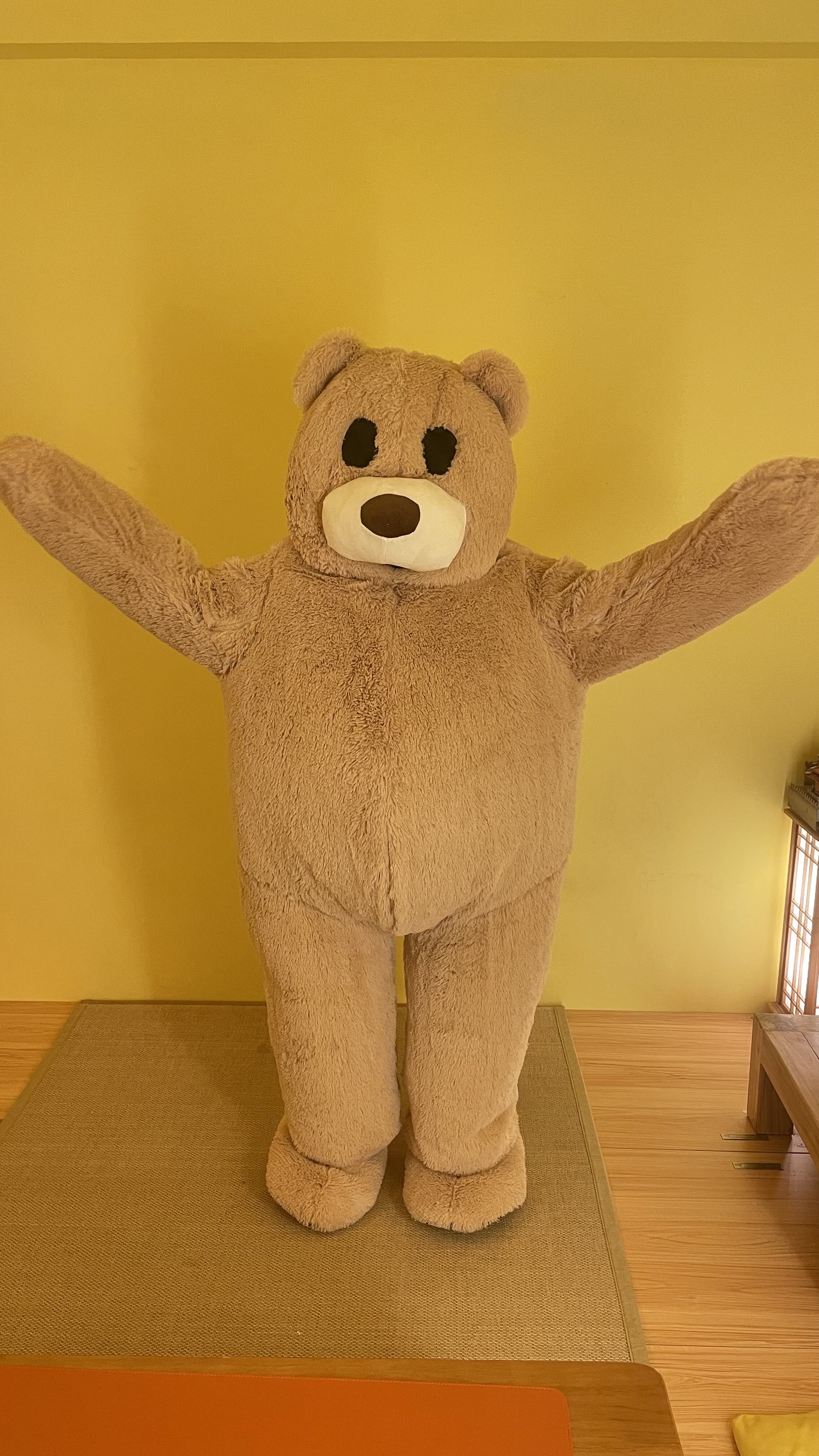 充气款小熊玩偶服夏款跳舞熊熊可穿戴玩偶人偶服装大熊公仔衣服