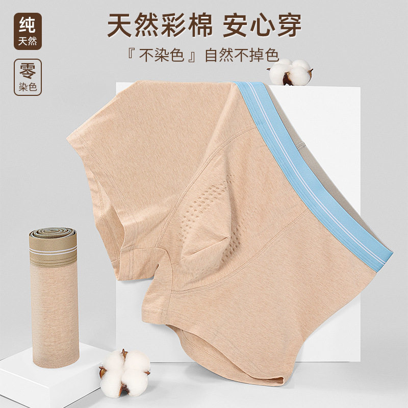 2025新款彩棉男士内裤纯棉中腰透气无痕抗菌男生短平角裤中山批发,女士内衣/男士内衣/家居服,男平角内裤,淘宝优惠券,粉丝福利购,淘宝优惠卷