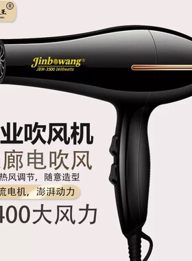 劲波王3500电吹风机理发店冷热风大风吹风筒专业发廊负离子大功率