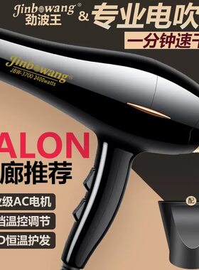 家用大功率发型师静音电吹风机