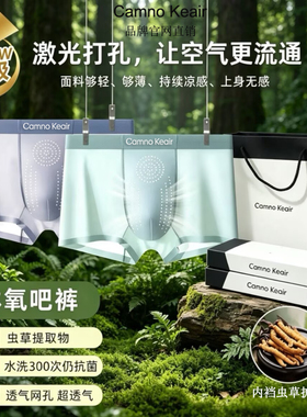 Camno Keair礼盒装CK2-521冰丝虫草素10A抑菌网孔男士平角内裤