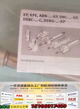 DSNU-16-100-PPV-A-KP自锁气缸(19398议价