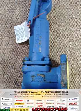 LESER德国莱斯安全阀，DN40，PN40，Type:44议价