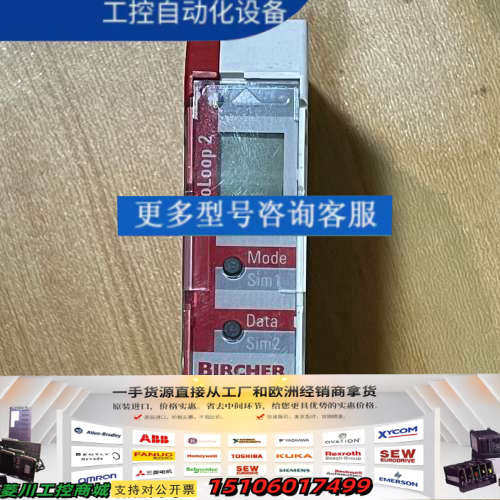 BIRCHER回路传感器 PROLOOP-2 262596/议价