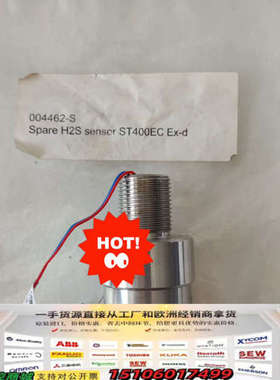 Spare H2S sensor for ST400EC E议价