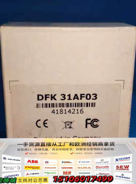 IMAGNGSOURCE/映美精 DFK 31AF03 工业议价