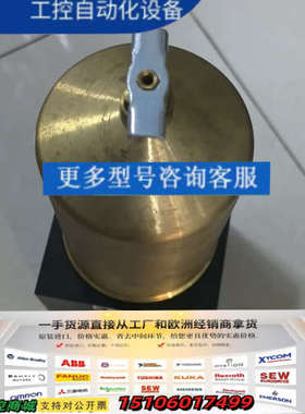 RIEGLER 阀 101162  议价