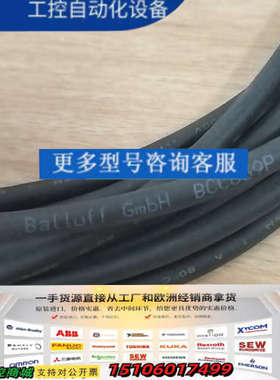 巴鲁夫双头线缆，BCC039P议价