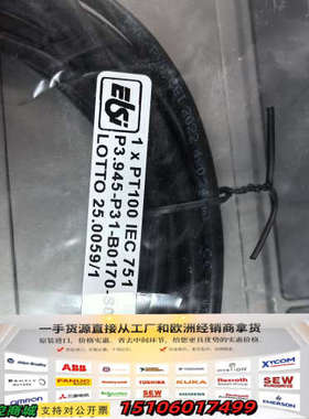 1xPT100 IEC 751 P3.945-P31-B01议价