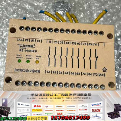 德国RIESE安全继电器 RS-NAGX8 AR.9618.议价