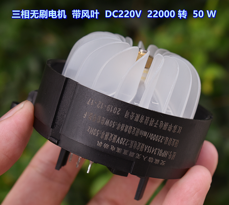 三相无刷电机带风叶DC220V