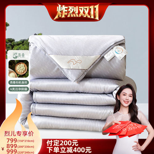 水星家纺A类抑菌蚕丝二合一被