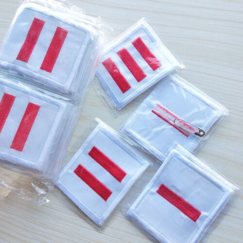 小队长标志一道杠中队长二道杠