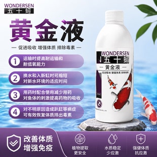 【官方补贴】泉巢锦鲤龙鱼黄金液硝化细菌修复鳞片增色蒙眼
