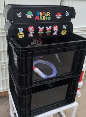 黑色双层40系列可视周转箱龟缸乌龟专用箱乌龟缸大鳄剃刀巨头发色