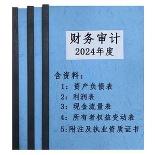 公司审计咨询年度投标专项验资年审年报资产估报告财务评报表备案