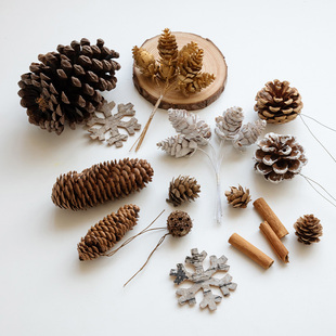 饰圣诞节装 饰手工diy果实干花装 饰品拍摄道具 天然松塔松果装 诺琪