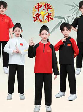 儿童武术服散打搏击服格斗拳击训练服长袖短袖武馆演出功夫练功服