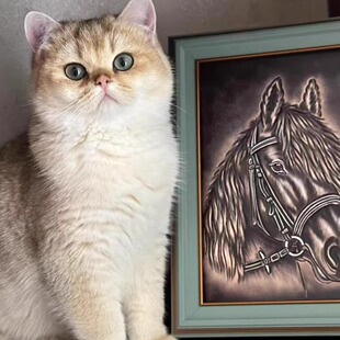 次抛 400道尔顿 26新款 颐莲护肤链接一