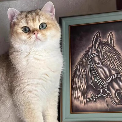 25新款钛杯一 手握杯 啤酒杯 运动500ml 香水杯 弹跳盖 小蛮腰