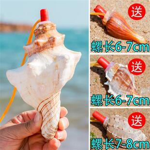 天然海螺口哨 贝壳号角螺号 拍摄道具儿童摄影玩具