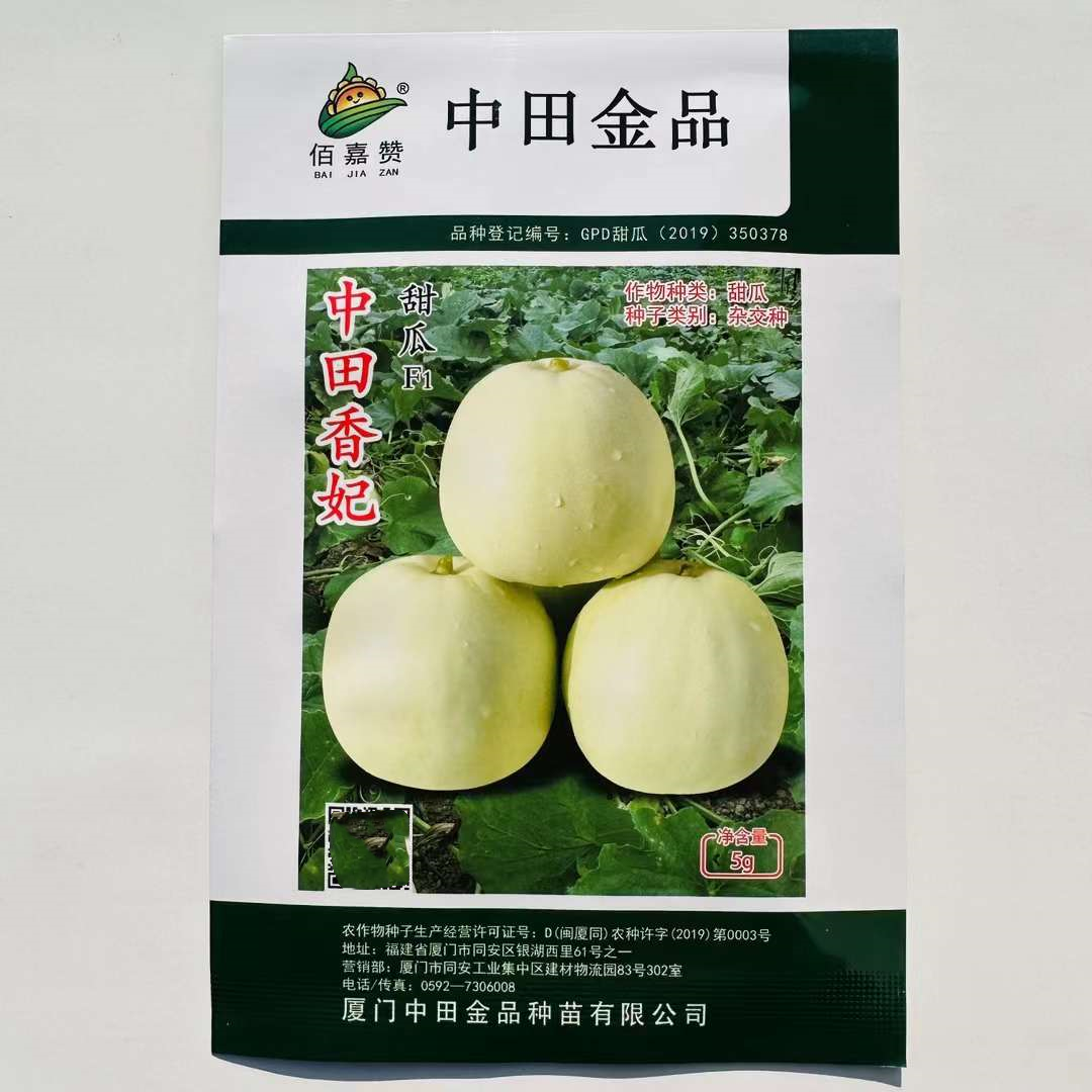 中田金品薄皮甜瓜种子中田香妃春秋季玉奶香农友银辉甜宝千玉300