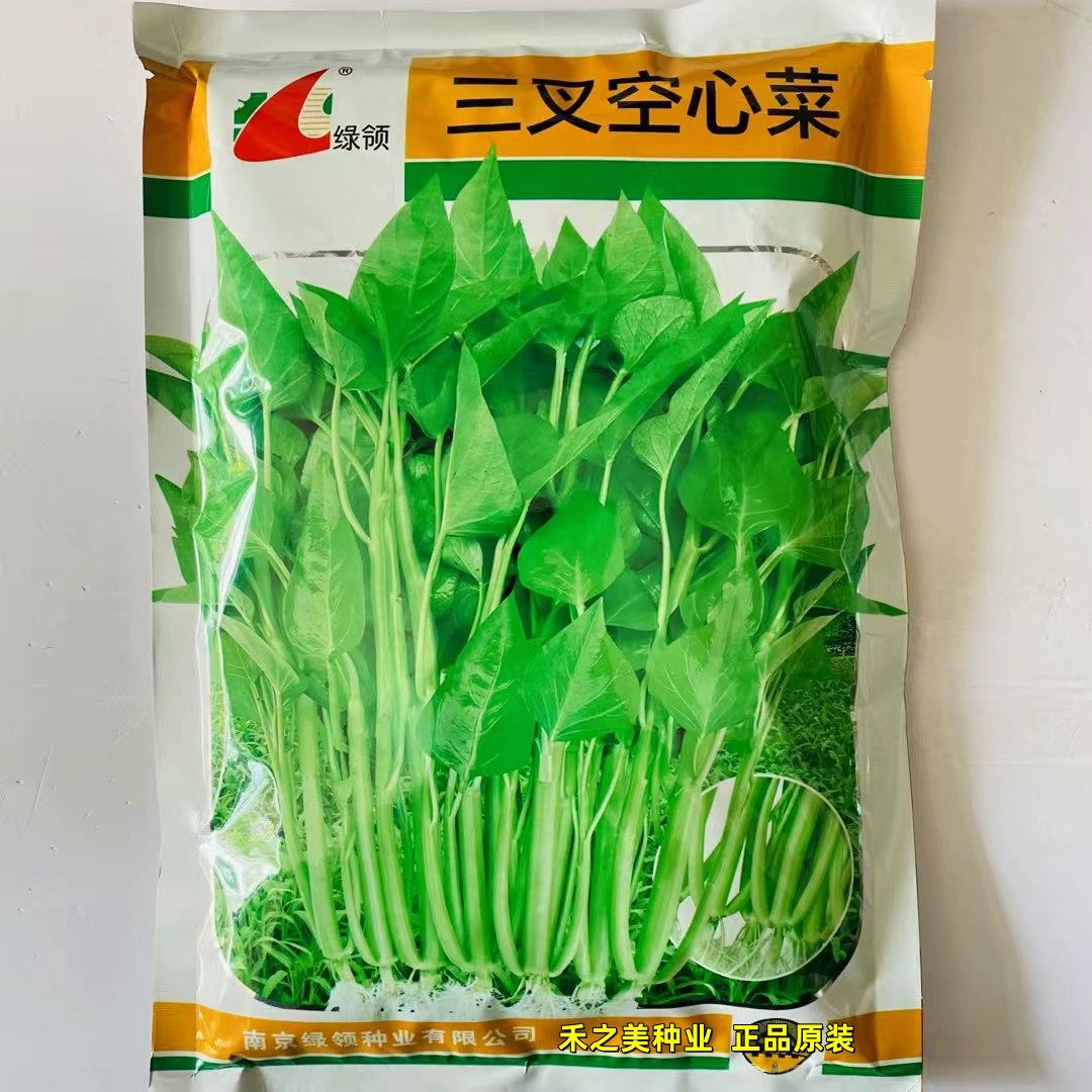 三叉空心菜种子高产耐热耐湿蕹菜通心菜种籽春夏秋季蔬菜种子孑